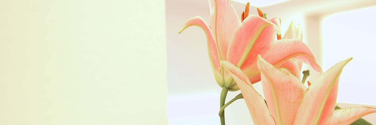 header-philosophie Philosophie